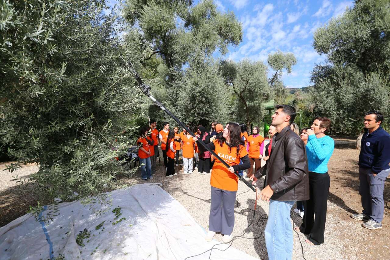 Milas’ta Zeytin Hasadında Kadın Emeğine Vefa: KADEM’den Teşekkür 1